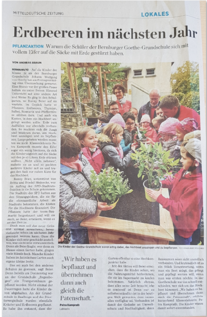 zeitung_hochbeet.png